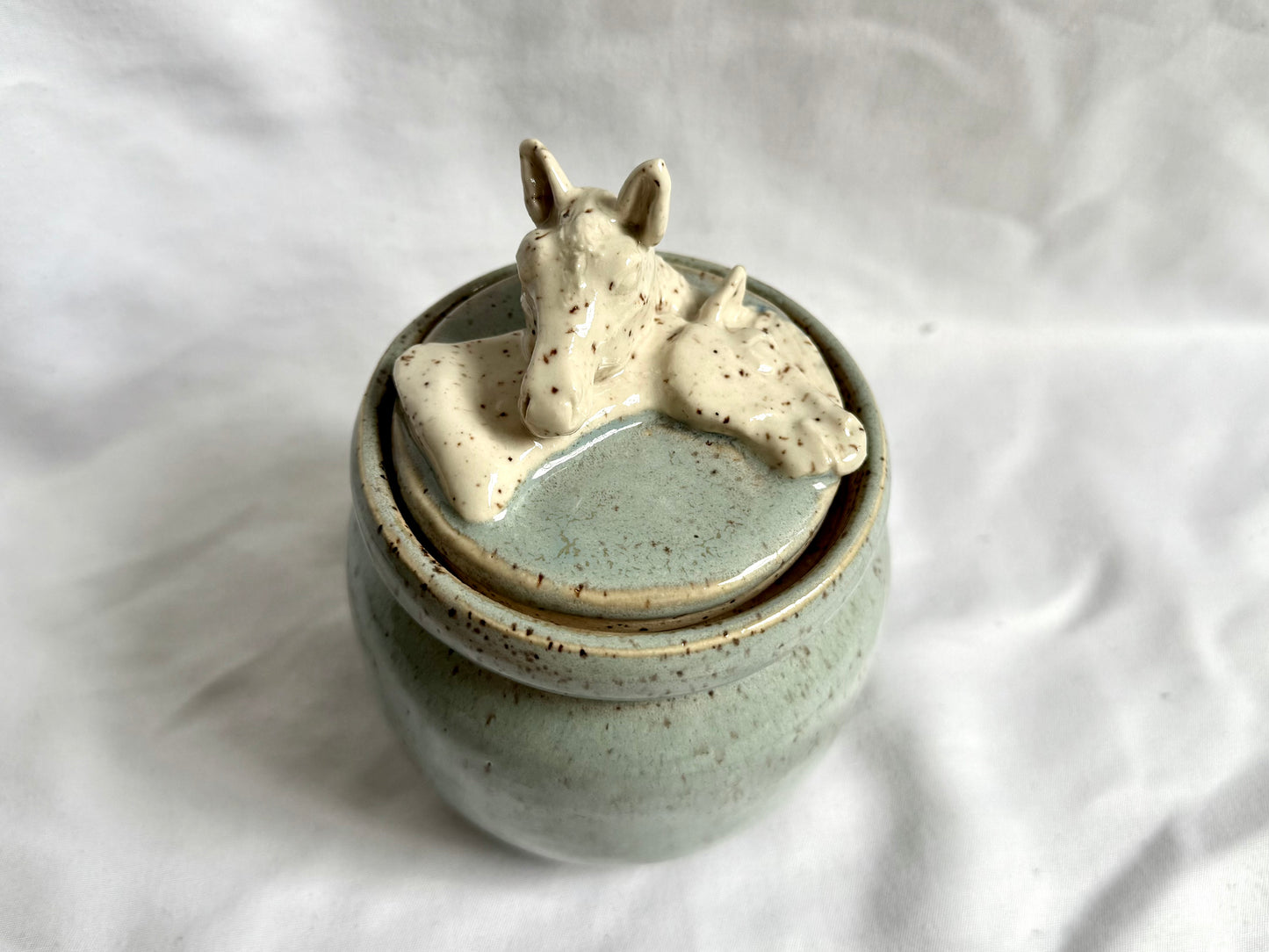 Horse Container