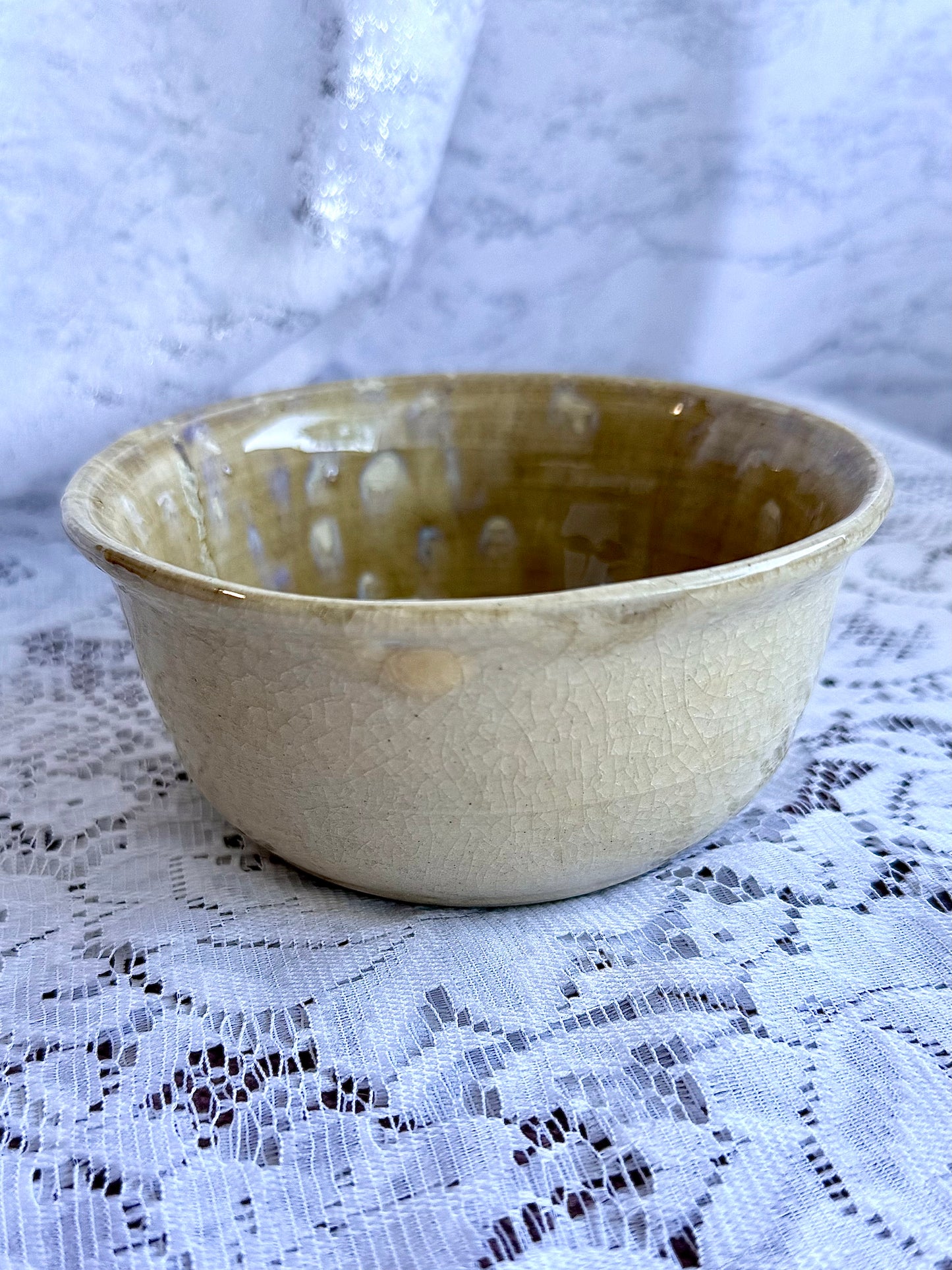 Turtle Accessory Dish