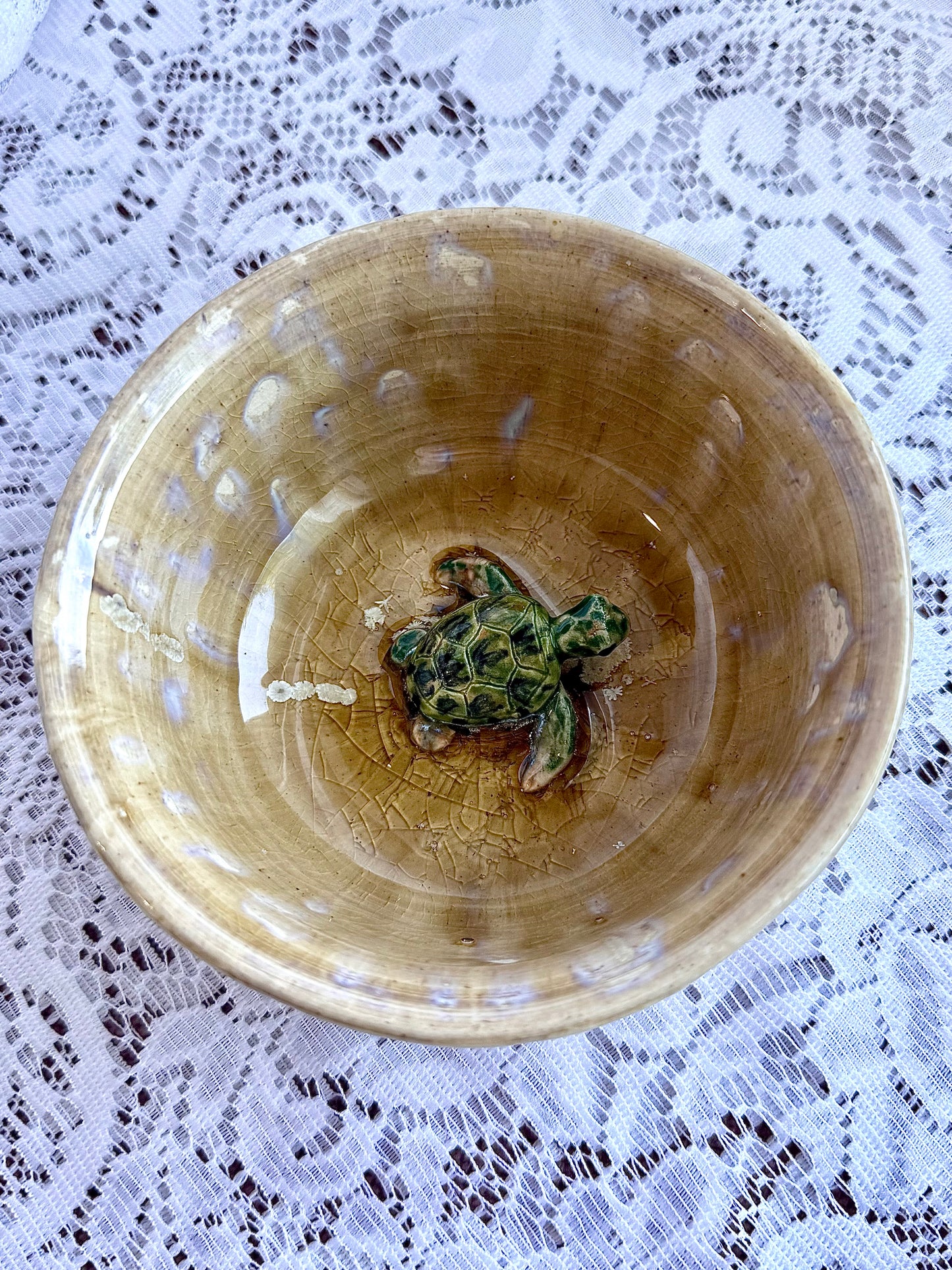 Turtle Accessory Dish