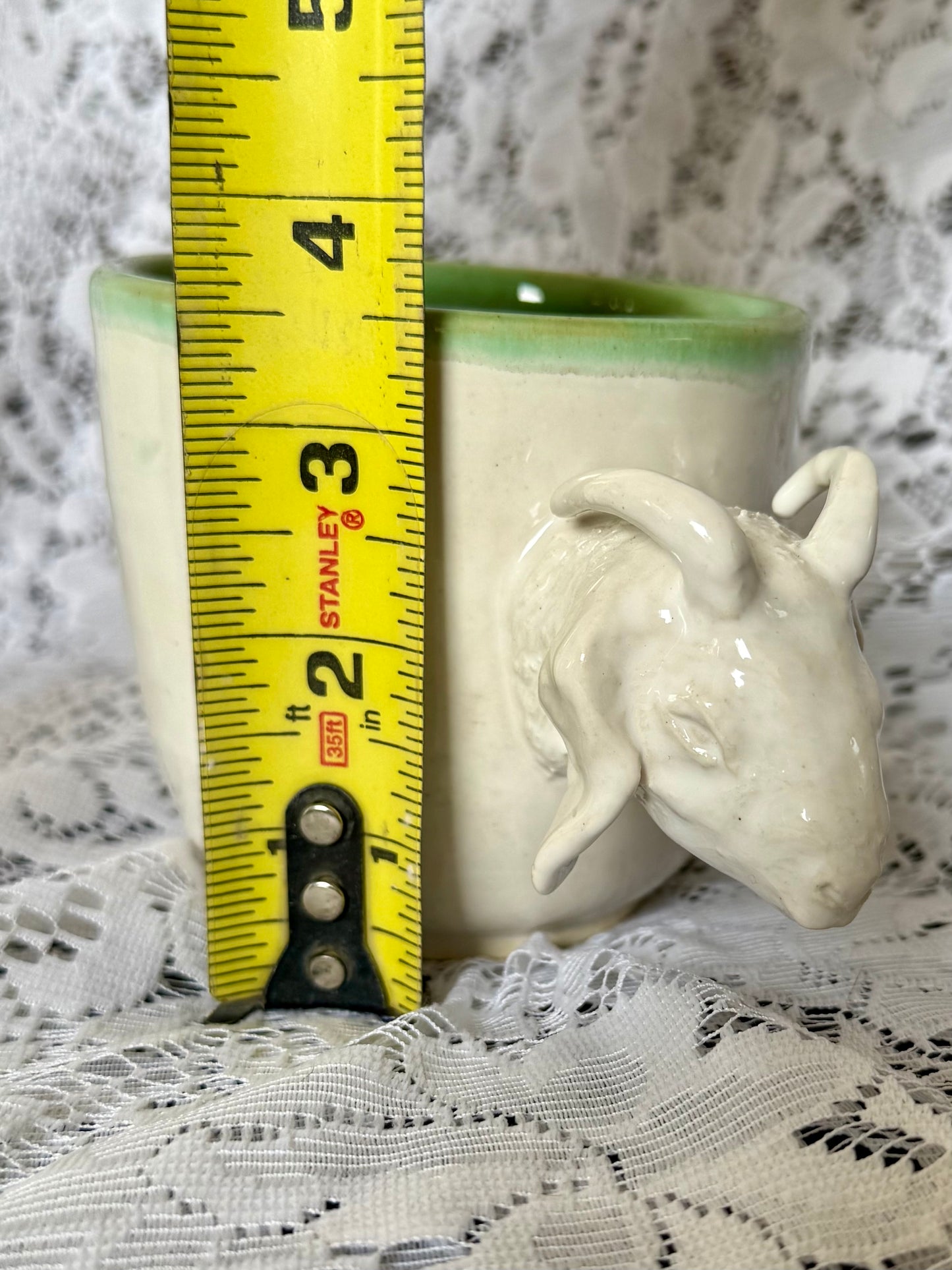Boer Goat Mug