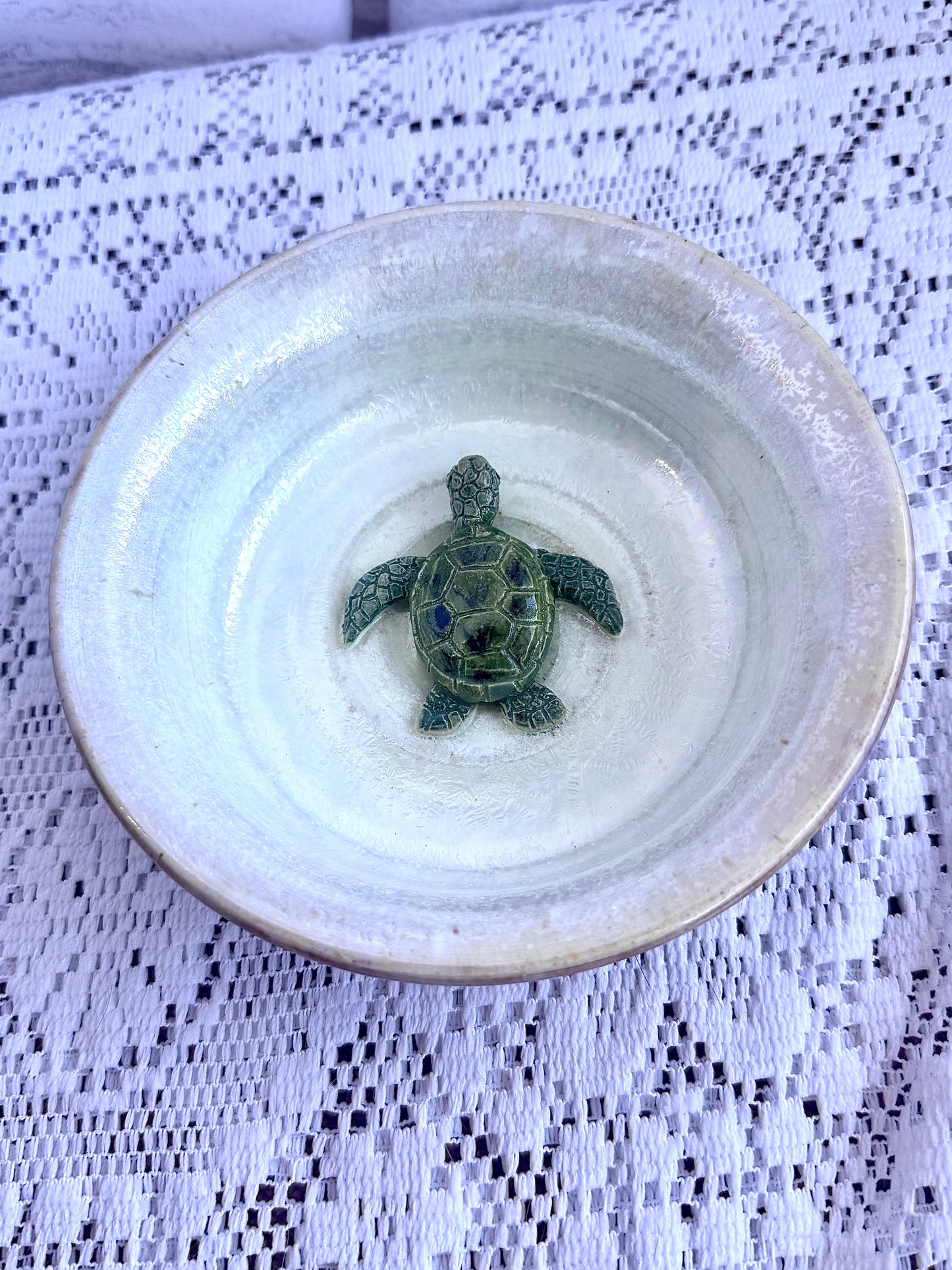 Turtle Accessory Dish