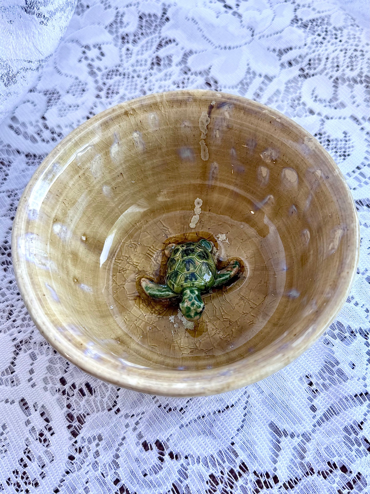 Turtle Accessory Dish
