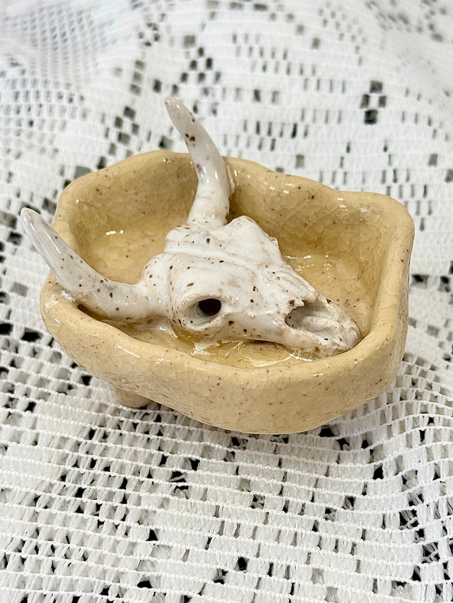Cow Skull Jewelry Holder
