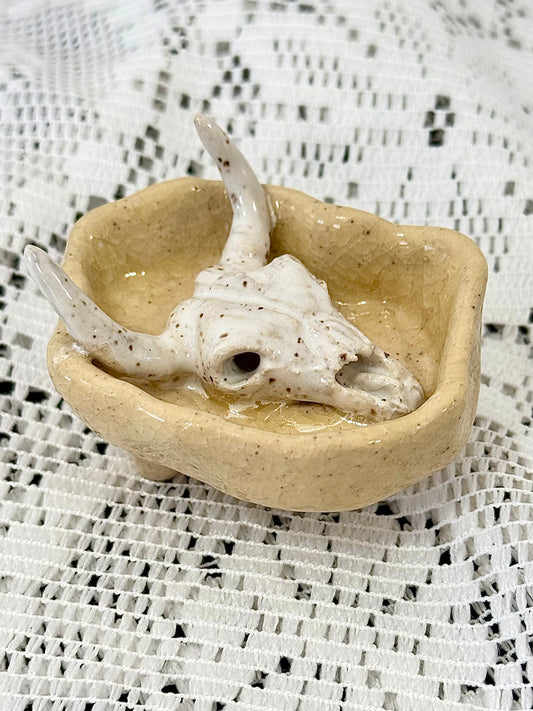 Cow Skull Jewelry Holder