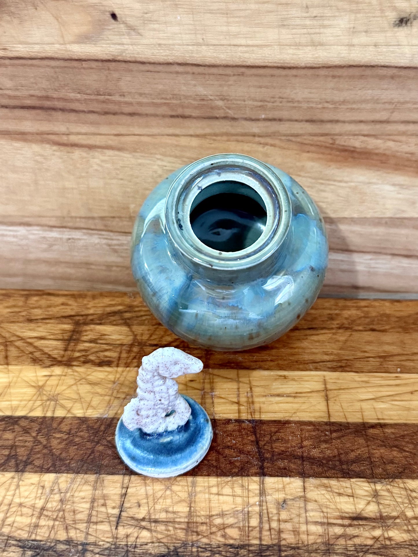 Mini Seahorse Container