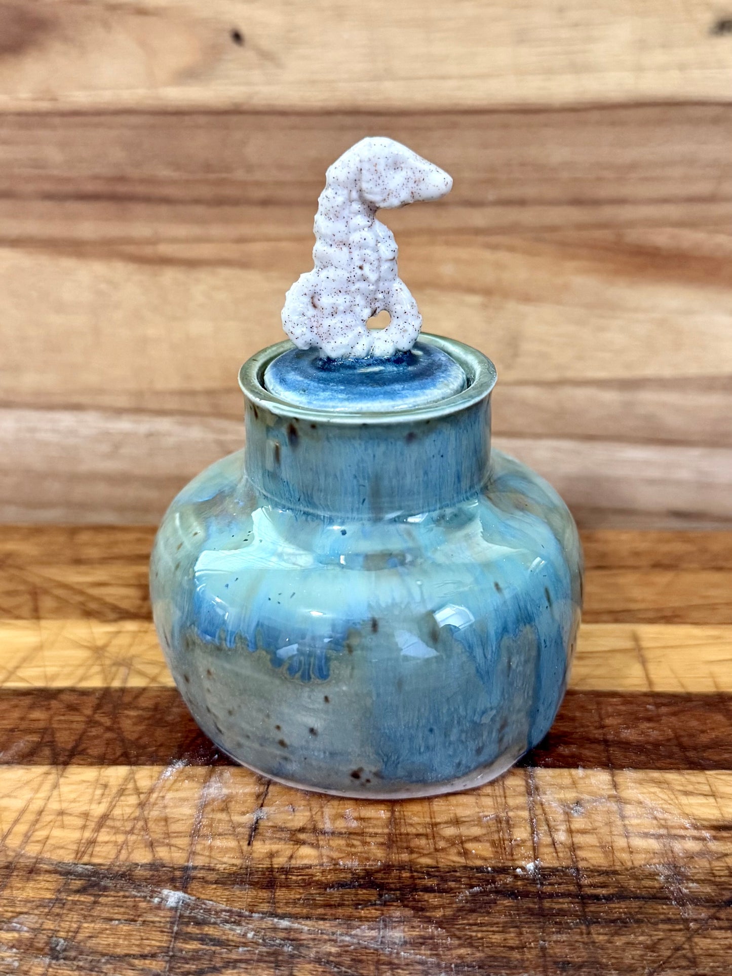 Mini Seahorse Container