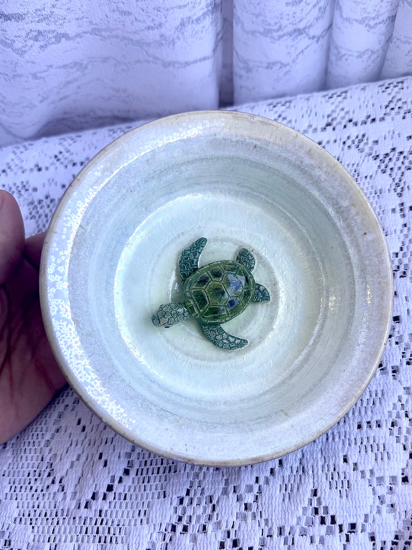 Turtle Accessory Dish