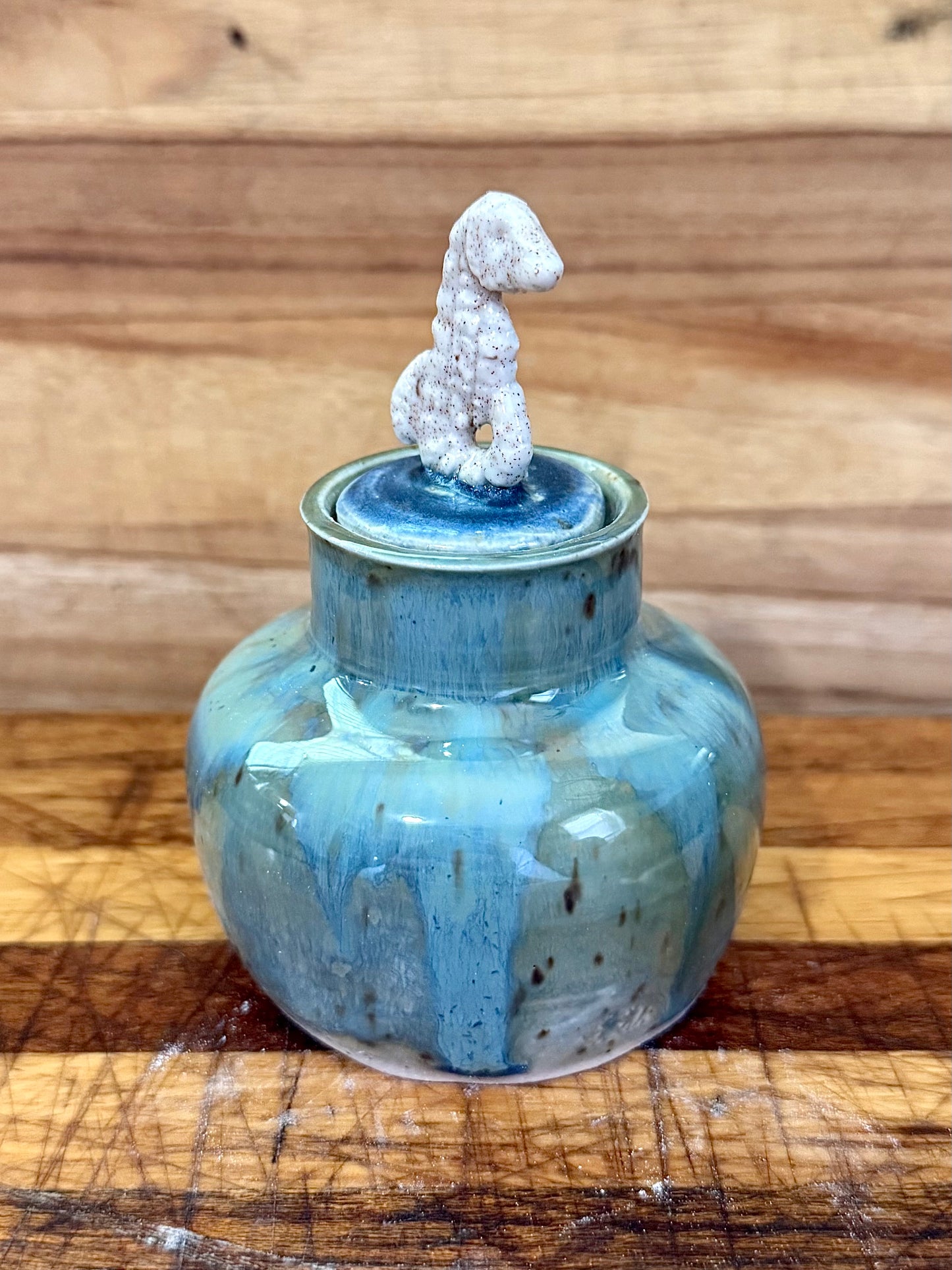 Mini Seahorse Container