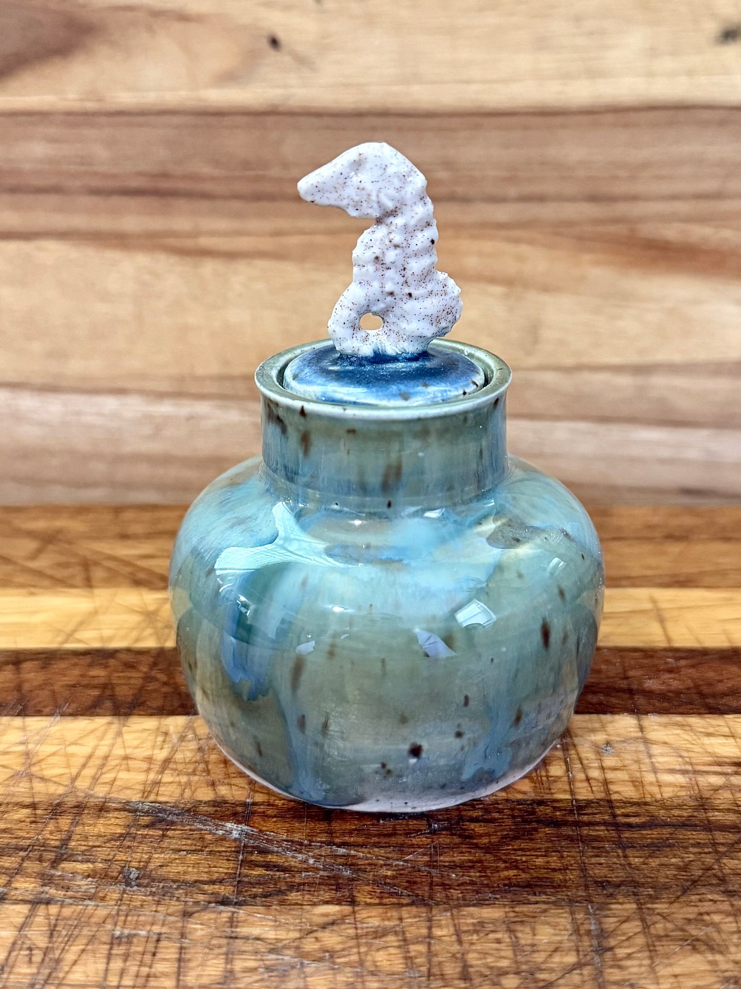 Mini Seahorse Container