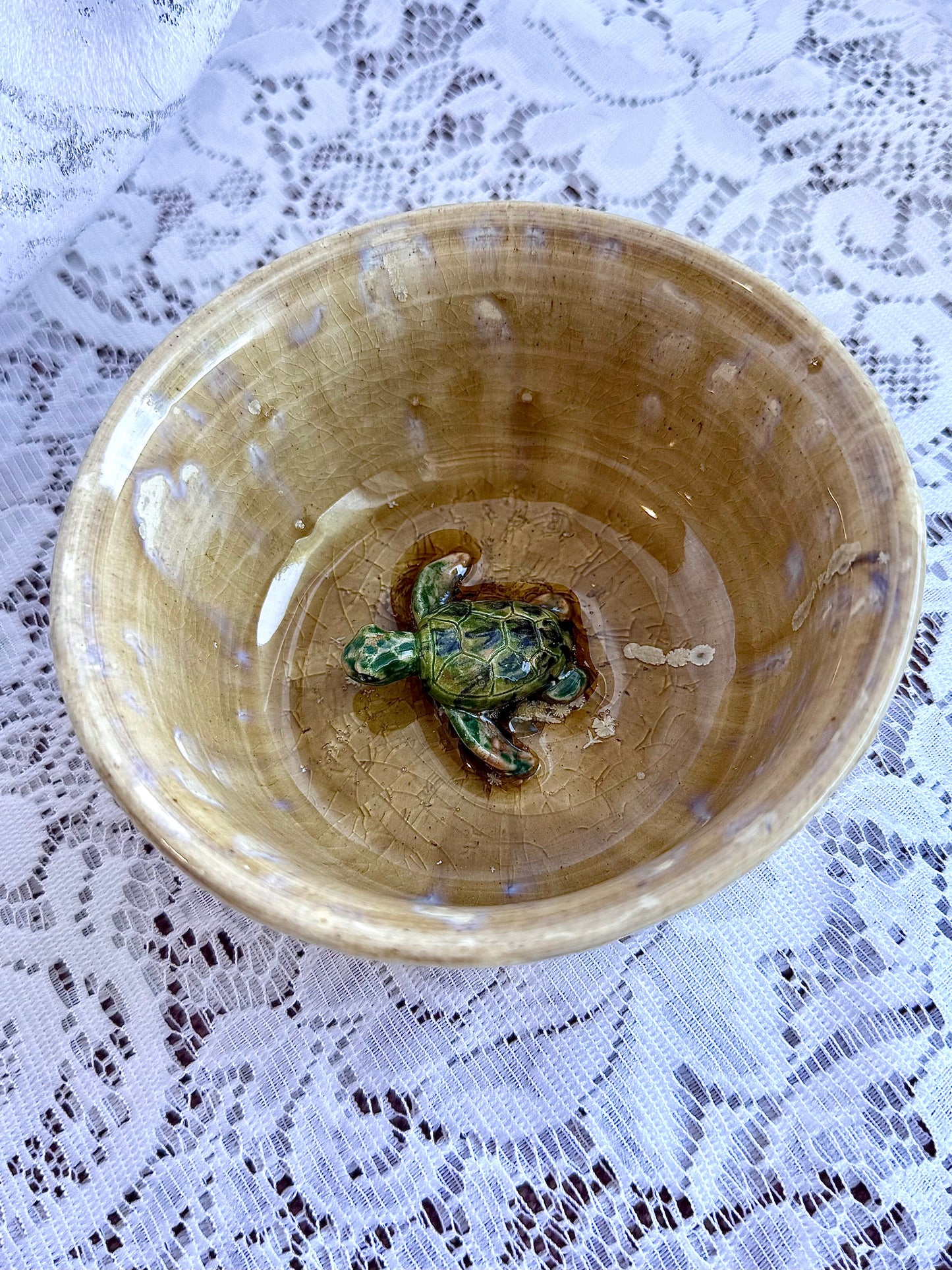 Turtle Accessory Dish