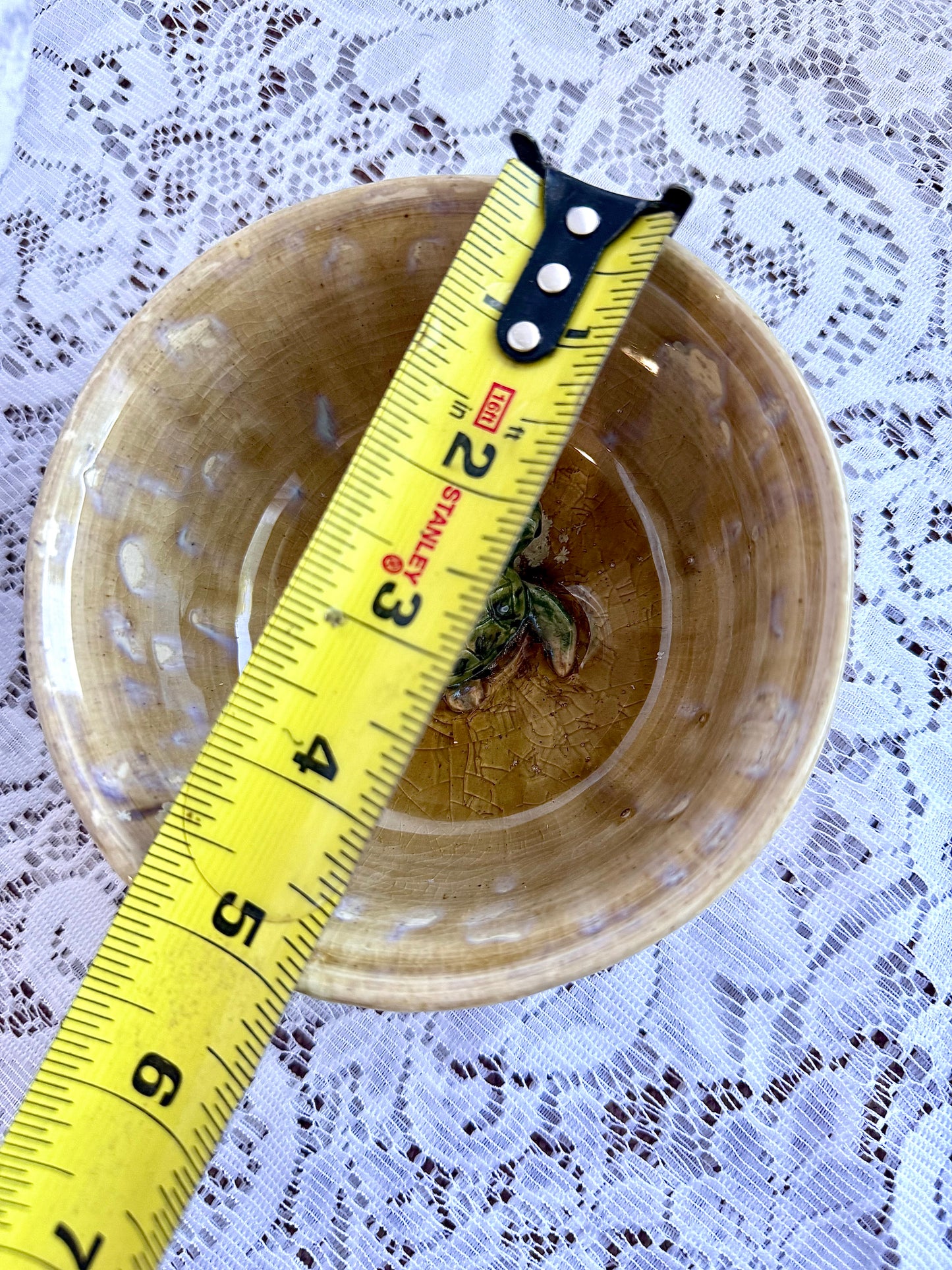 Turtle Accessory Dish