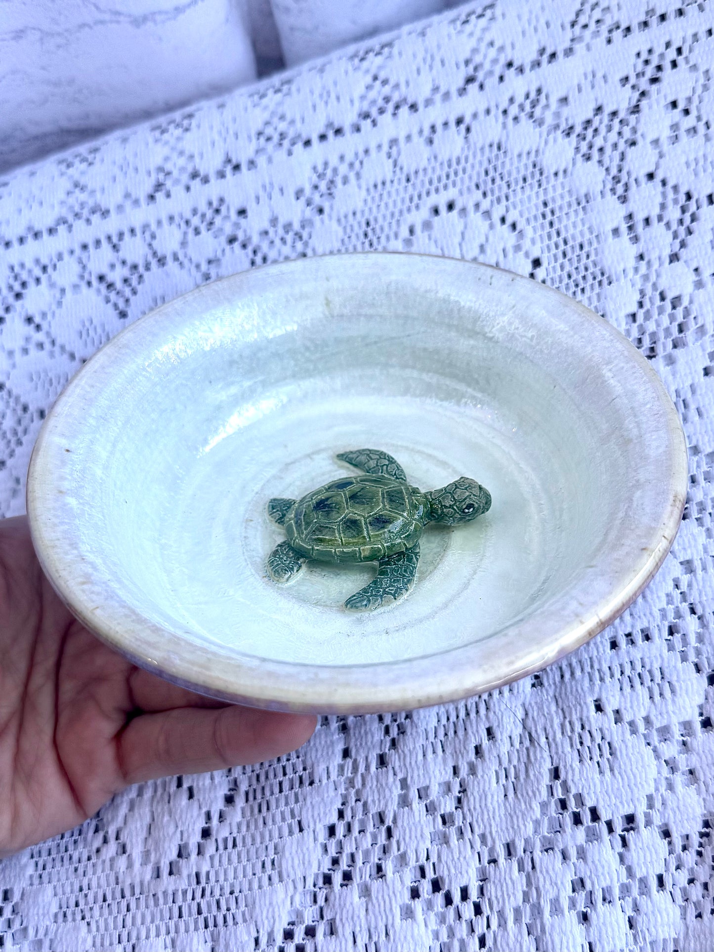 Turtle Accessory Dish
