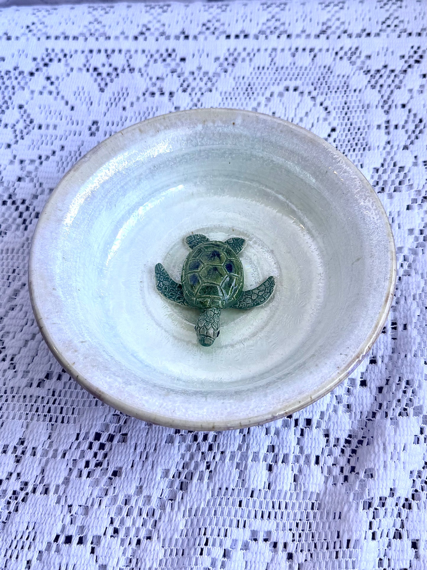 Turtle Accessory Dish