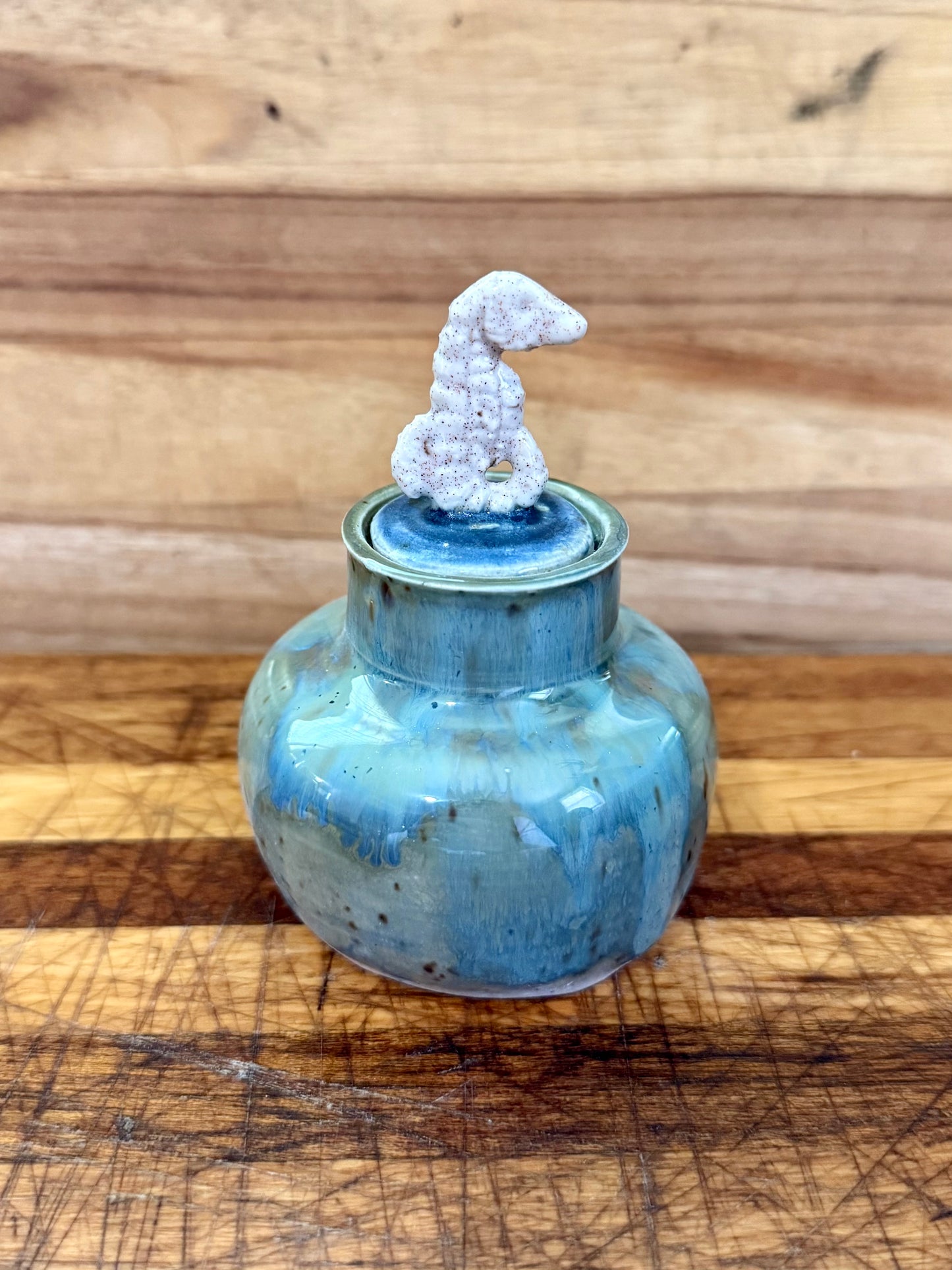 Mini Seahorse Container