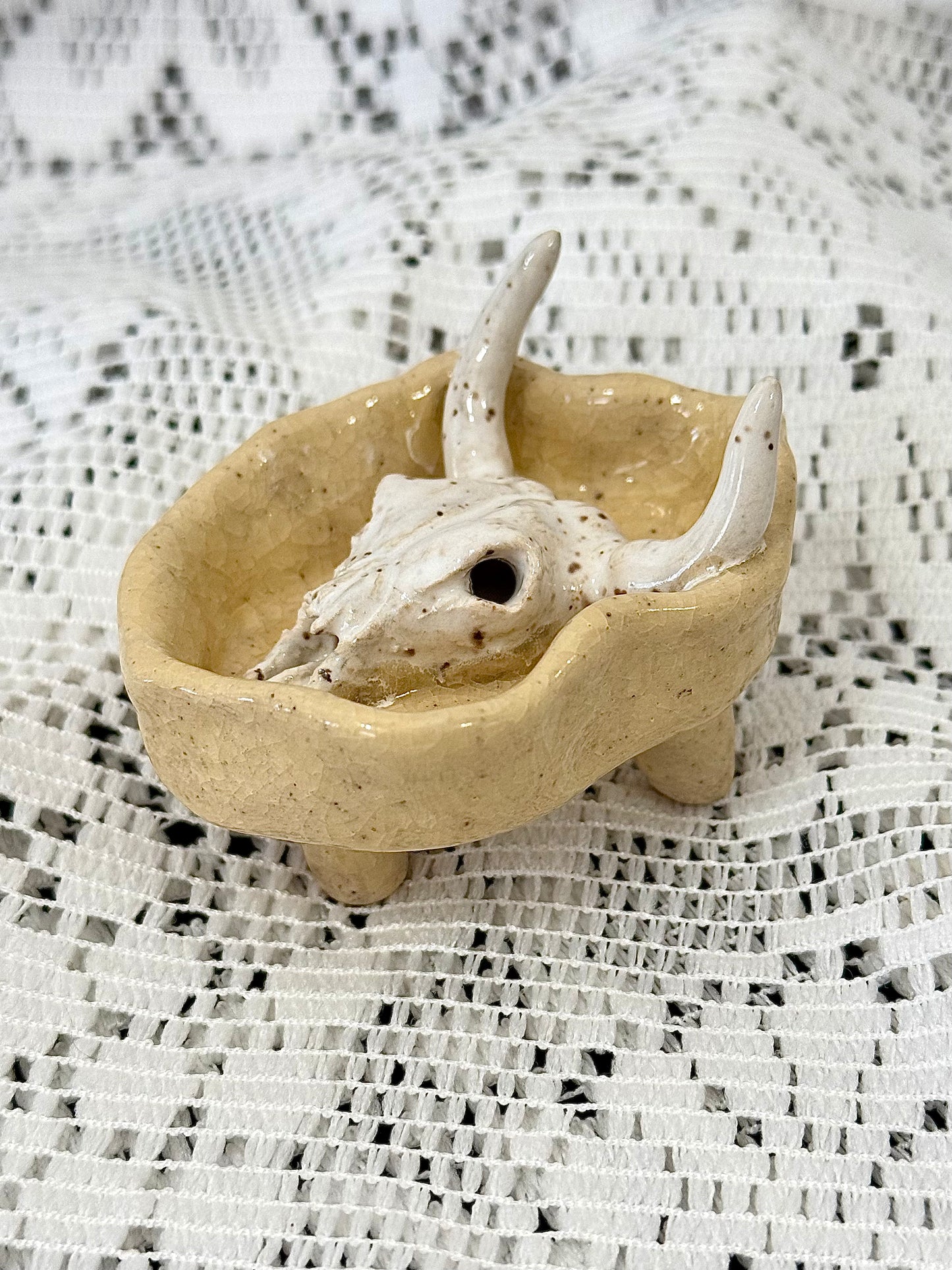 Cow Skull Jewelry Holder