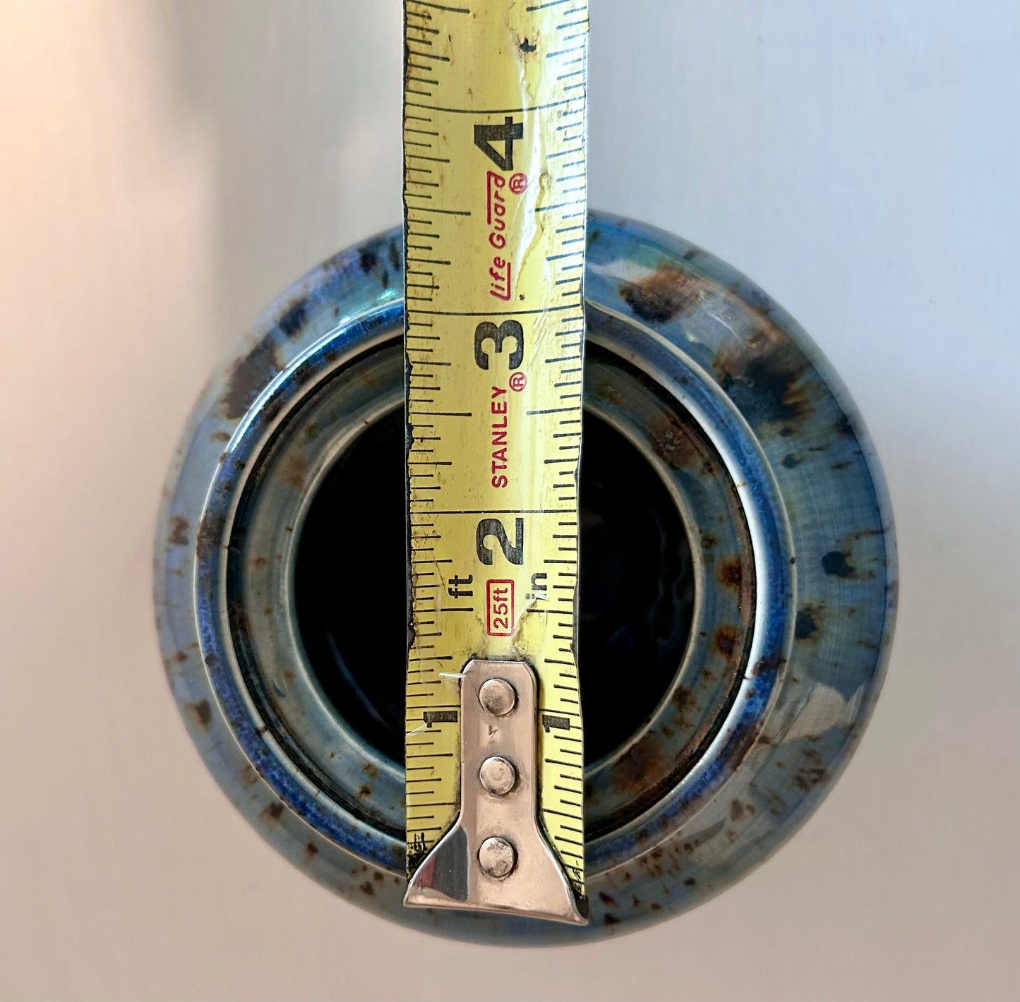 Ocean Wonders Container