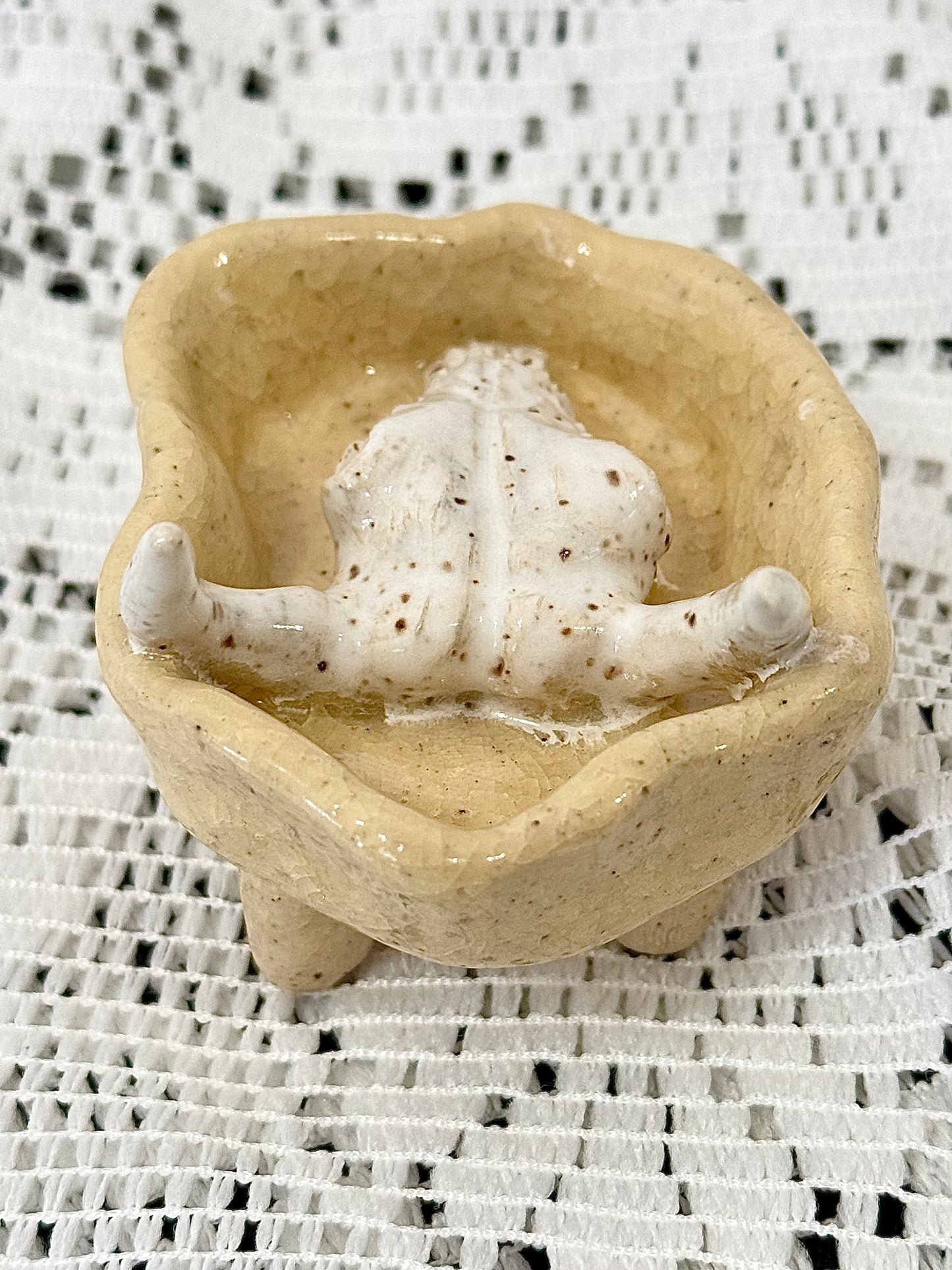 Cow Skull Jewelry Holder